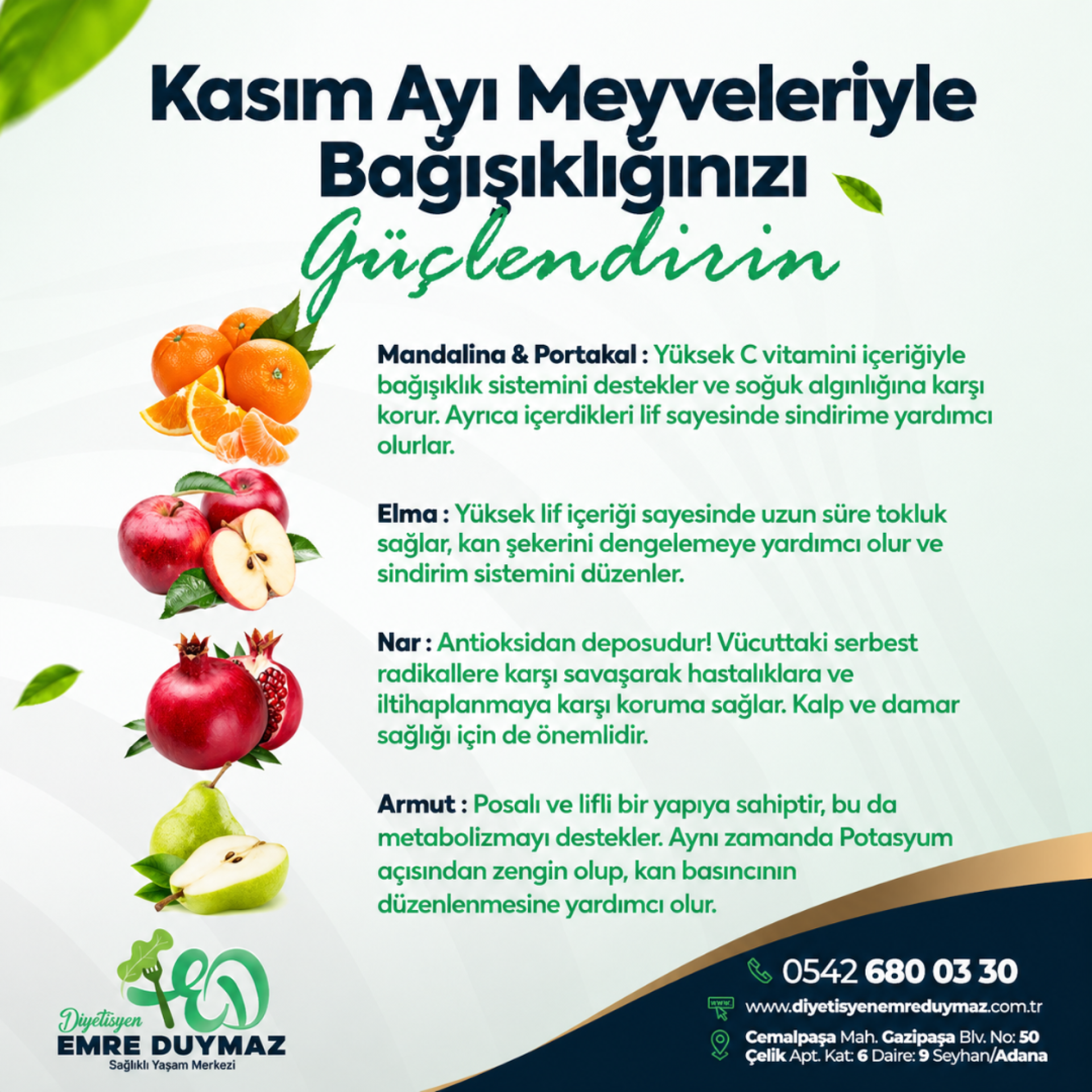 KASIM AYI MEYVELERİ