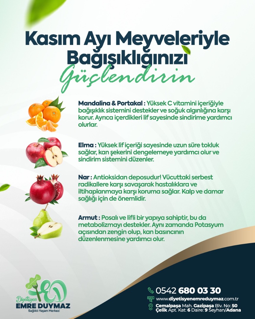 KASIM AYI MEYVELERİ
